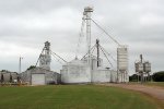 older grain plant